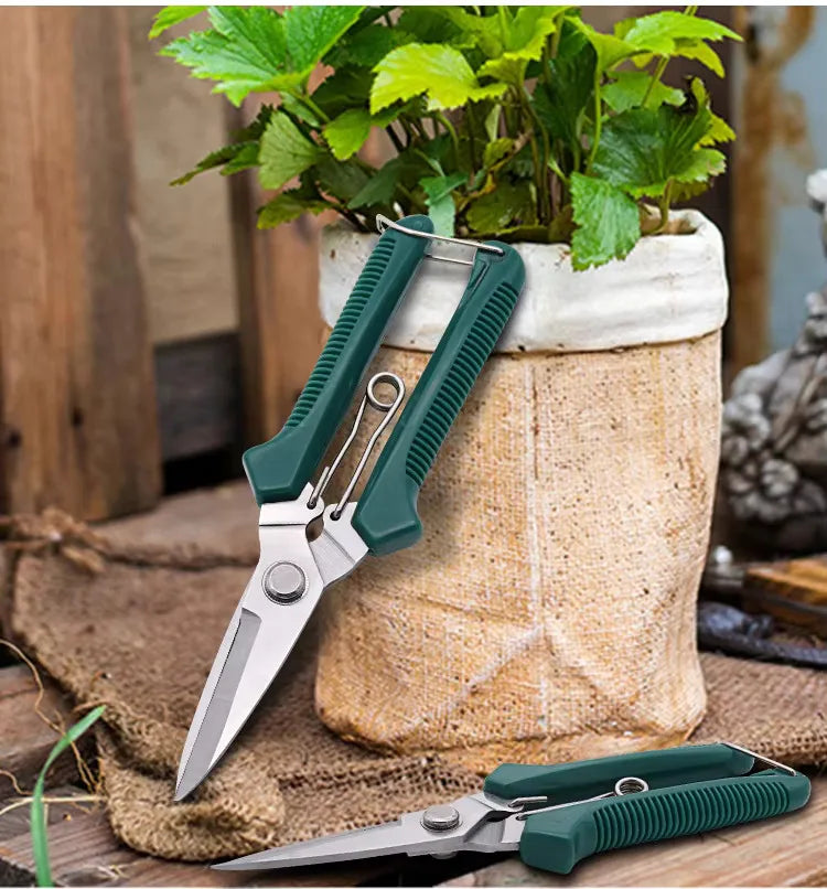 Straight Head  Shears Scissors